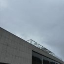 광포반점 이미지