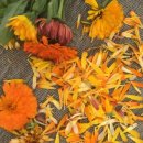 대구연경초등학교 이미지