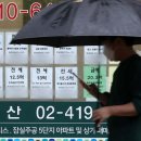 하나공인중개사무소 이미지