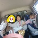 섬강유원지 Daum카페