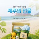 제주애서 이미지