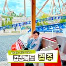 경주월드 신규 어트랙션 위자드레이스 경주 아이들과 가볼만한곳 위치스 펌킨 파티
