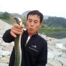 웬장어 이미지