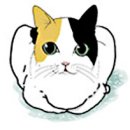 빵굽는고양이 이미지