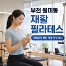 동기상가 | 부천 원미동 재활 필라테스 가격｜필라테스 체형교정 수업 형태별 특징