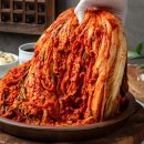훼미리