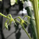 차오름동물병원 이미지