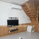 여수 댕댕이 애견 가족펜션 골드 | 강아지 동반 숙소 여수댕댕이 애견가족펜션 골드