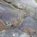 지세못입구 이미지