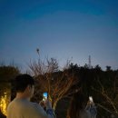 미르의 뜰 이미지