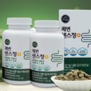 마라농장 이미지