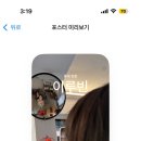 초청춘