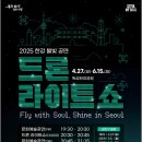 자양태권도 | 드론라이트쇼 2025 한강 불빛 공연 1회 관람 후기