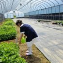 논공파출소 | [공지] ❤️경북 아이와 가볼곳 정리모음❤️