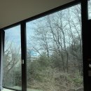 프리미어바이오(주) | 에빠르베르쏘 2관 산후조리원 파노라믹, 프리미어룸 내돈내산 솔직 후기