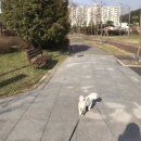 배떡나주 이미지