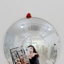 미니네 | [마곡 사진관 인포룸] 뭉치, 꼬마, 모찌 사진으로 미니네컷인화 & 폰꾸한 후기