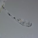 경상남도수산자원연구소 이미지