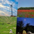 청옥산깨비마을 | 정선 평창 원주 1박 2일 여행 기록 민둥산, 청옥산깨비마을, 육백마지기, 인생막국수 방림메밀막국수...