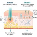 이윤형 | 미사인모드 슈링크 같이 받는 이유