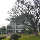 서귀포시중앙도서관 이미지