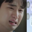 보인 이미지