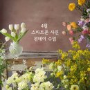 [11/27] 간단히 배우는 스마트폰 사진촬영 | [공지] 4월 스마트폰 사진 원데이 수업