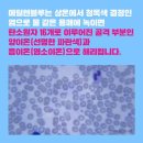 블루화장품