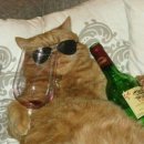 카페 무아커피 | 강릉 포남동 카페 추천/커피&amp;디저트 맛집, 무아커피 솔직후기