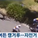 제이바인 이미지