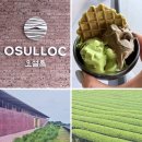 남원 오설록 티하우스 티팩토리점 드디어 오픈🍵❤️ 방문 후기