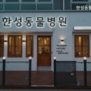 한성동물병원 네이버블로그