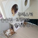 큐빅스타워 | 큐빅스펫 고양이 숨숨집, 가격 조립식 장점 단점 조립방법 솔직후기