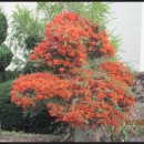 저지보건진료소 이미지