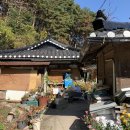 용골농장 | 강원도 강릉 맛집: [용골감나무집] 예약 / 솔직후기