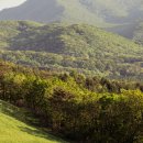 고향목장 | 대관령 양떼목장 평창 여행 가볼만한곳 출사 명소