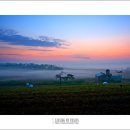 목장의아침 이미지