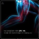 대한검도 두정검도관 이미지