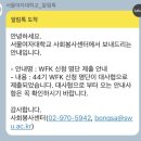 [44기 WFK 청년봉사단] 지원 그리고 합격후기