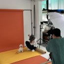 므므스튜디오 이미지
