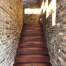 로히메르시 | 남양주 애견동반카페 로히메르시 하남 스타필드 애견동반 팁까지!!