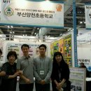 양천초등학교 이미지