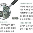 最古 금속활자 논란 증도가자 오해와 진실