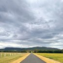 별빛농장 | 호주 브리즈번 근교 여행 | 무게라 별빛투어 추천 낙타 먹이주기·마운틴쿠사 야경 코스 후기