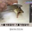 장어사랑 Daum카페