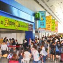 코리아펫 이미지