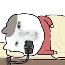 logout실패사건을아시나요