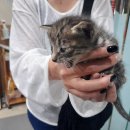 성진동물병원 이미지