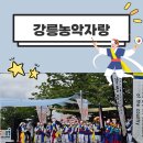 #7 강릉농악자랑_특징과 후기