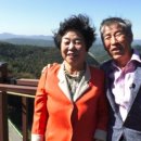 보은농장 이미지